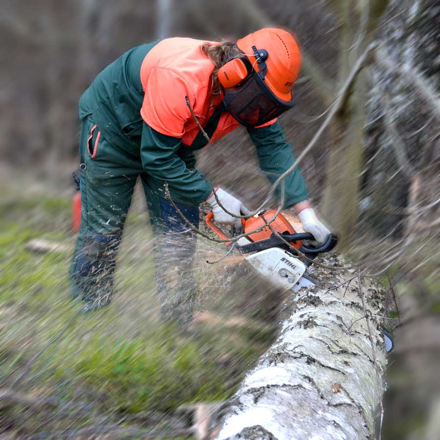 Holzbaron bei der Arbeit